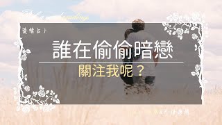 誰在偷偷關注暗戀我呢？🔮Paula塔羅🔮