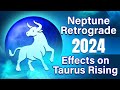 Neptune Retrograde in Pisces - 2024: Forecasts for Taurus Rising