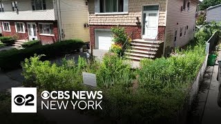Village fines woman who replaced lawn with native plants