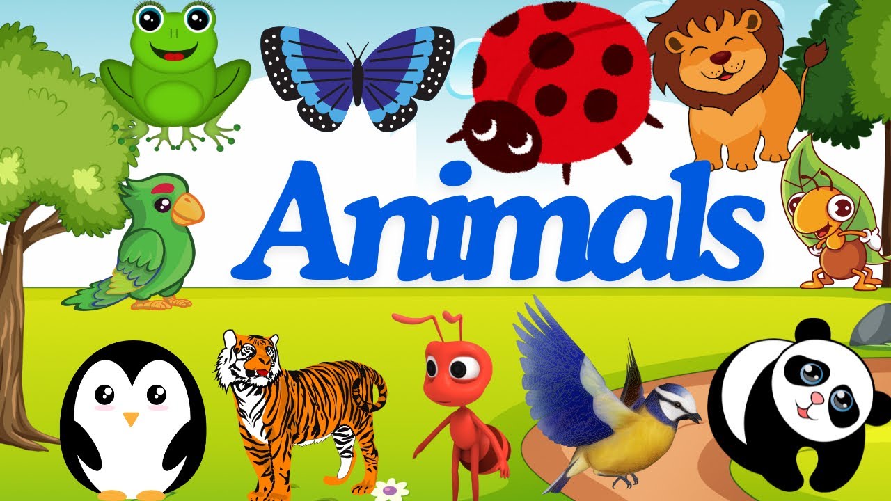 Preschool Learning Activities For 3 Year Olds At Home Learn Abc