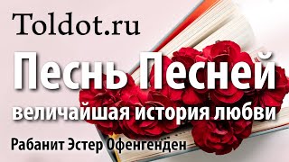 [18 часть] Средства от страха. Мудрость царя Соломона. Рабанит Эстер Офенгенден.