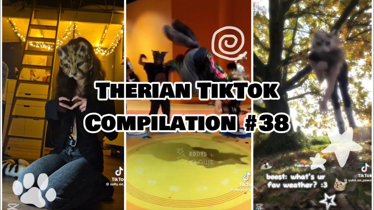 Therian Tiktok Compilation 38 Youtube