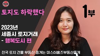 세종시 토지거래가도 하락했다 1부 - 행복도시편