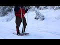 snowshoeing at gold lake