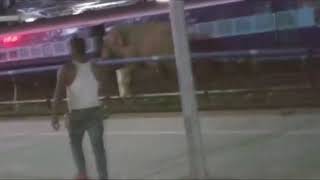 [IRFCA] Wild Elephant movement at Rangapara North Railway station Premises