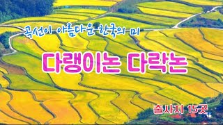 다랭이논 부드러운 곡선 황금물결의 다랭이논 15곳 촬영노하우