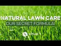 Ultimate Organic Lawn Care Product Plan