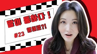 세이 치즈 [1분 영어] 이제야 말이 통하는구만!