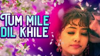 Tu Mile Dil Khile - Song | Criminal Movie | Kumar Sanu , Alka Yagnik, Chitra