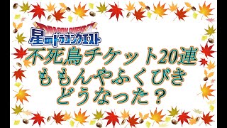 【星ドラ】　新不死鳥装備チケット20連+ももんやPふくびきのお時間です。