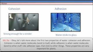 Cohesion and Adhesion