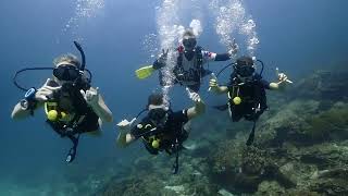 Phuket Diving 2024 | PADI Discover Scuba Diving