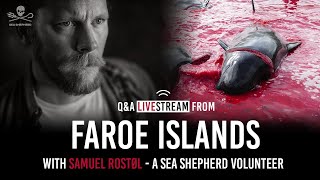 Live from the Faroe Islands - Grindádrap