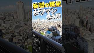 新宿のタワマン！！抜群の眺望！！  #ルームツアー #東京 #不動産 #内見 #tokyo #apartment #roomtour  #内見ツアー #タワーマンション #shorts