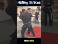 hiding strikes martialarts ninjutsu taijutsu discoverymartialarts