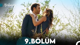 Ateşböceği 9. Bölüm (FULL HD)