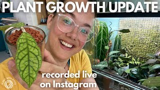 Tour of my propagations and basically half my collection :) | Plant with Roos