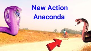 New Action Anaconda Snake Short Movie | Anaconda Attack In Real Life HD Video 2024 #anaconda