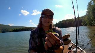 Megabass Dark Sleeper : SGT Smallmouth Fishing tips Bass 101