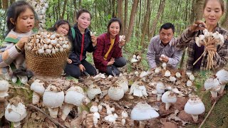 NCEB POB LUAJ os lawv aws haib tas tas lis|Pick up natural mushroom