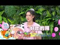 WTO姐妹會 2024-09-30預告 各國必回訪美食