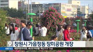 [KBS뉴스9 경남] 2015.05.16(토) 뉴스 전체보기