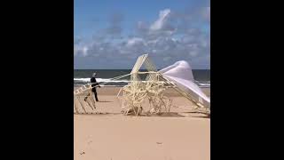 Theodorus Jansen, a #Dutch #artist makes #Strandbeests wind-powered #kinetic #sculptures #creator