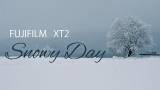 Fujifilm XT2 field test at snowy scenery Nikon D750 雪の余呉湖を撮った話とスノーブーツの話