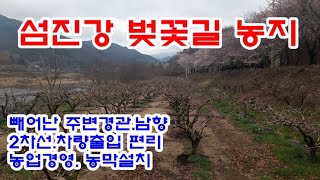 구례군 토지 1억5천2백만원 / 구례읍 계산리 섬진강변 벚꽃길 감나무 농자 2,511㎡(약760)