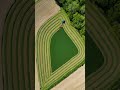 Cutting my 1.7 acre field of alfalfa! #agriculture #farm #farming #Timelapse #newholland #farmer