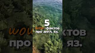 5 WOW-фактов про английский язык | whoEnglish