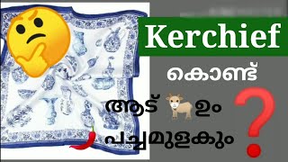 Kerchief കൊണ്ട് ഒരേസമയം ഒന്നിലധികം Items എങ്ങനെ ഉണ്ടാക്കാം...|| Jumi's World