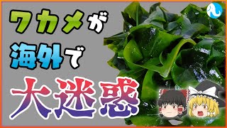 海外に渡ったた迷惑な日本の在来種5選【ゆっくり解説】