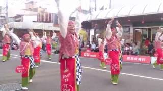 丸亀ごんな連　高知よさこい2016升形2日目