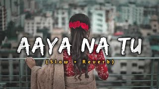 Aaya Na Tu [Lofi~ remix]  - Arjun Kanungo, Momina Mustehsan |Lofi Music Lovers | [Slowed & Reverb]