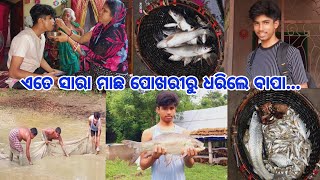 ବୋହୁତ ଦିନ ପରେ ଆମ ପୋଖରୀ ବୁହାଗଲା!!ଏତେସାରା ମାଛ ବାପା ବାବୁଲ ଧରିଲେ!ଏତେ ବଡ ମାଛକୁ ଦେଖିକି ଆମେ ଡରିଗଲୁ😮