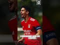 benfica renews contract with tomás araujo s football soccer benfica championsleague