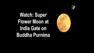 Watch: Super Flower Moon at India Gate on Buddha Purnima