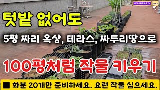 넓은 텃밭이 없어도 20가지 이상의 작물을 키울 수 있는 신박한 방법!