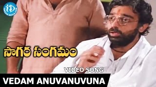 Vedam Anuvanuvuna Song - Sagara Sangamam Movie Songs - Kamal Haasan - Jayaprada - S P Sailaja