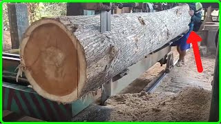 SAWING BEAUTIFUL TEAK WOOD