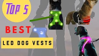 Led Dog Vests - Best Led Dog Vests Review 2020