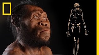 New Human Ancestor Discovered: Homo naledi (EXCLUSIVE VIDEO) | National Geographic