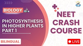 Photosynthesis in higher Plants Part 1 | Biology For NEET 2025