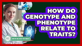 How Do Genotype and Phenotype Relate to Traits?