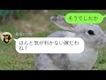 【line☆特別編】嫁に義父の還暦祝いの準備を押し付け家から閉め出した姑「家族だけのお祝いだから嫁は出てけ！」→クズ姑にある事実を伝えた結果ｗ【スカッとする話】