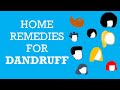 How to TREAT Dandruff At Home || Home Remedies