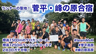 ランナーの聖地、菅平高原・峰の原高原合宿に参加しました！