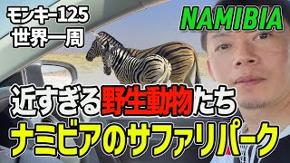 [S3-E54]手を伸ばせばすぐ野生動物 ナミビアの国立公園モンキー125 世界一周