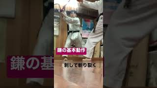 【琉球古武道】二丁鎌の基本動作【KOBUDO】